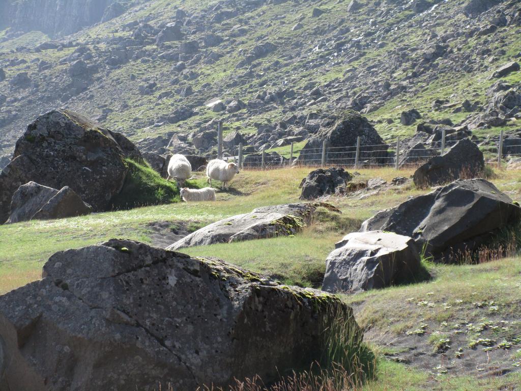 Lindarbrekka Villa Djúpivogur Dış mekan fotoğraf